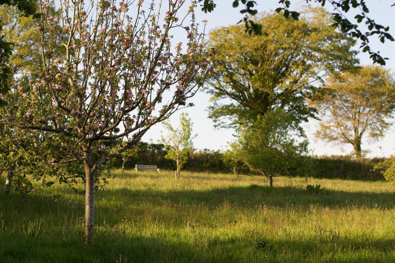 Holwell Holistic Retreat Bed and Breakfast Barnstaple Buitenkant foto