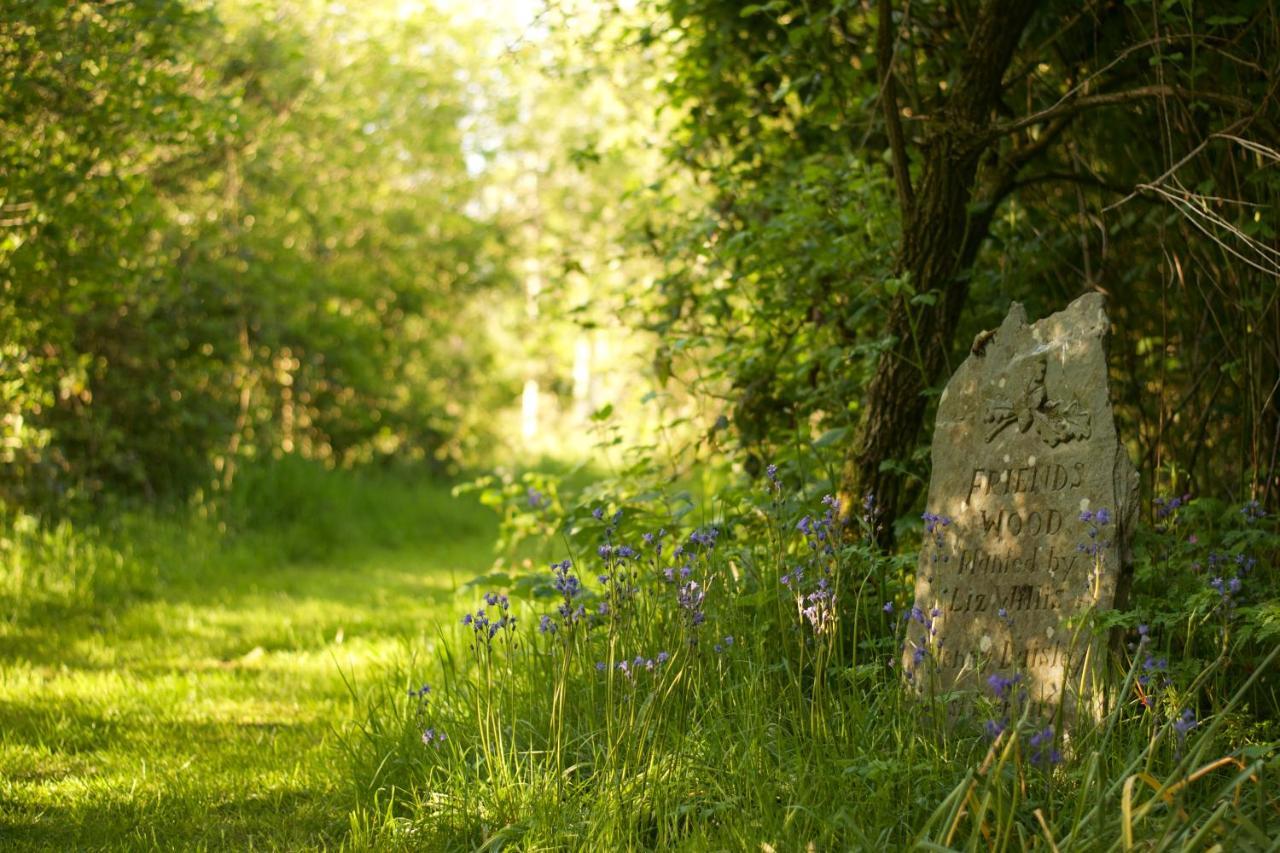 Holwell Holistic Retreat Bed and Breakfast Barnstaple Buitenkant foto