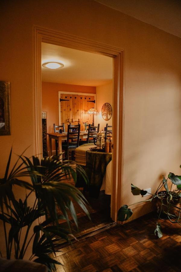 Holwell Holistic Retreat Bed and Breakfast Barnstaple Buitenkant foto